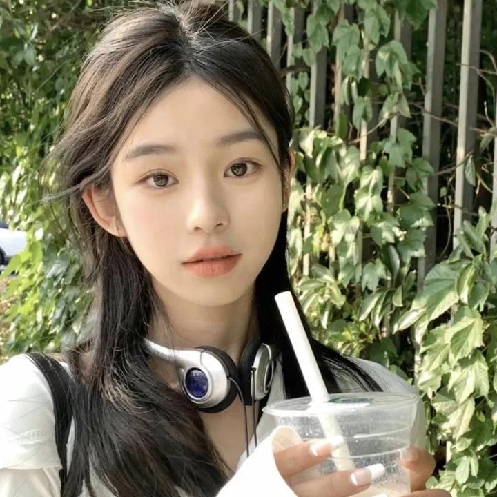 战鸽总动员